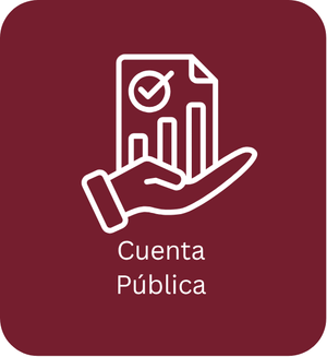 Cuenta Pública